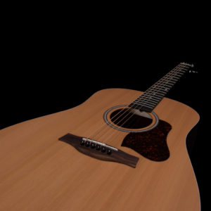 Photo of Seagull S6 Original guitar.